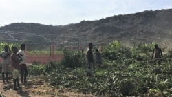 Campo agrícola, Benguela, Angola