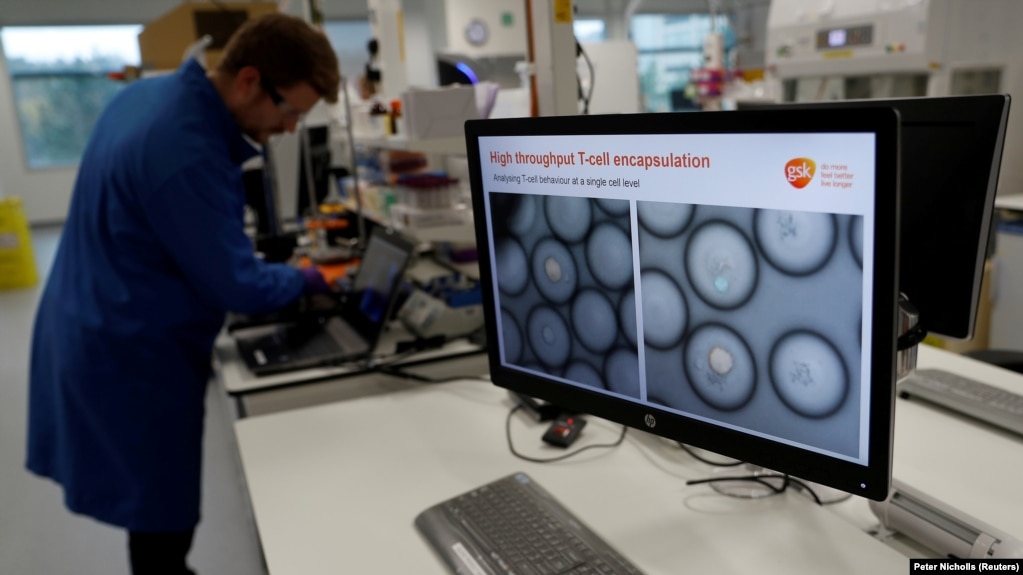 FILE PHOTO: A scientist studies cancer cells inside white blood cells through a microscope at the GlaxoSmithKline (GSK) research centre in Stevenage, Britain November 26, 2019.