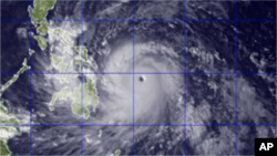 Typhoon Haiyan