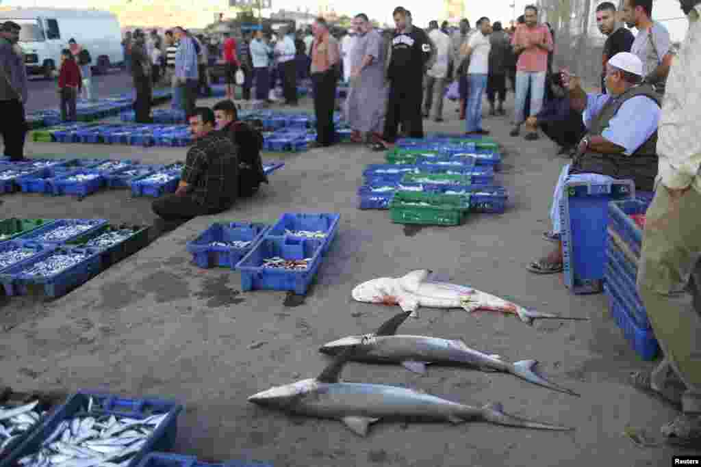 غزہ شہر میں مچھلی فروش سمندر سے پکڑی جانے والی مچھلیاں فروخت کررہے ہیں.