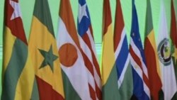 Fargabar Masana Akan Takunkumin ECOWAS - 3'10"