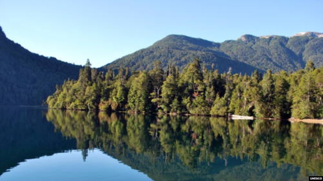 Contact with the natural world can be good for mental health. (Ricardo Villalba)