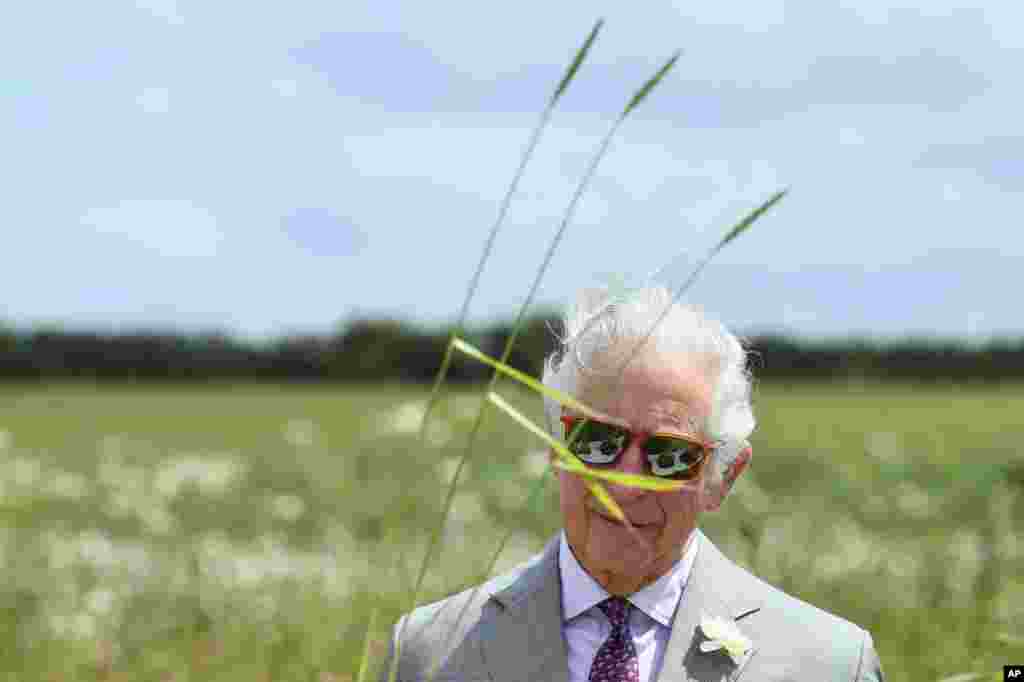 Britain's Prince Charles looks at soil samples during his visit to FarmED, a new center for farm and food education at Honeydale Farm, in Shipton-Under-Wychwood, England.