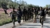 شهر عفرین به کنترل ارتش آزاد سوریه در آمد