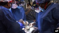 En esta fotografía difundida por la Facultad de Medicina de la Universidad de Maryland, miembros del equipo de cirugía trasplantan un corazón de cerdo al paciente David Bennett, el viernes 7 de enero de 2022, en Baltimore, EE. UU.