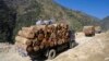 Beijing Asks Myanmar to Free Chinese Convicted of Illegal Logging