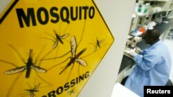 FILE - A sign at the Sanaria Inc. facility in Rockville, Maryland, where mosquitos are dissected for vaccine research. (Reuters)