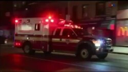 اخبار شامگاهی