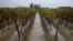 ARCHIVO - Esta vista general muestra las inundaciones en un viñedo en Portets, suroeste de Francia, el 3 de noviembre de 2023, después de que la tormenta Ciaran azotara Europa Occidental.