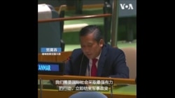 缅甸驻联合国大使呼吁国际社会帮助恢复民主