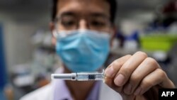 중국 제약회사 시노백이 개발 중인 신종 코로나바이러스 백신.