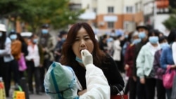 中國又現新病毒 專家呼籲密切關注瑯琊病毒會否人傳人