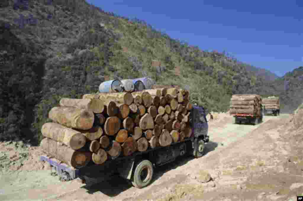 China Myanmar Logging