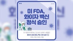 [뉴스 클릭] 미 FDA, 화이자 백신 정식 승인