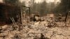 2 Children, Great-grandmother Die in California Wildfire