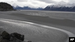 FILE - In this March 7, 2016, photo, a ribbon of water cuts through the mud flats of Cook Inlet, just off the shore of Anchorage, Alaska. Natural gas is bubbling up from an underwater pipeline in Alaska's Cook Inlet, discovered on Feb 7, 2017, when a Hilcorp helicopter spotted bubbles at the surface and reported the leak. 