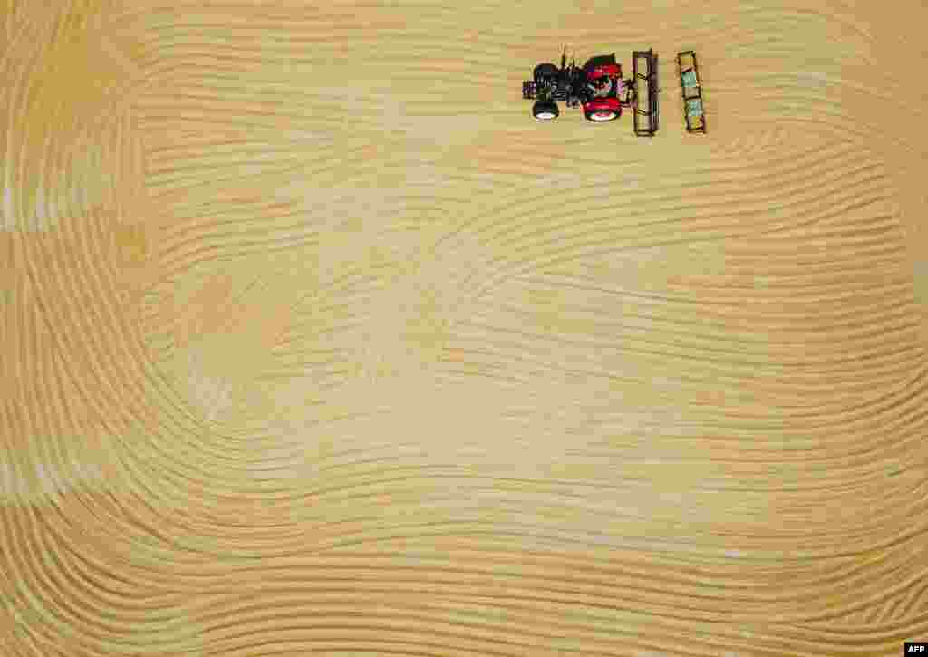 A farmer dries wheat with a tractor during harvest season in Lianyungang in China's eastern Jiangsu province. 