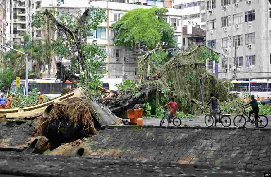 강풍을 동반한 폭우가 내린 브라질 리우데자네이루에서 강한 바람으로 인해 뽑힌 나무가 주거 건물 옆으로 쓰러져 있다.&nbsp;