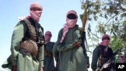Wanamgambo wa al-Shabab