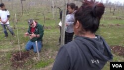 Virginia winery owner Doug Fabbioli teaches students how to farm at his free school.