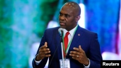 The head of Heir Holdings wants to kick-start hundreds of new jobs and businesses in Africa. Tony Elumelu (above) spoke in Abuja last April.