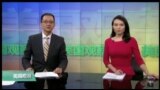 VOA卫视 (2017年2月4日 美国观察)