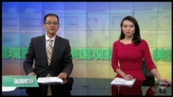 VOA卫视 (2017年2月4日 美国观察)