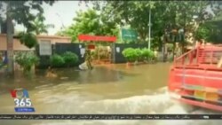 اخبار شبانگاهی