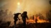 Chile Berjuang Hadapi Kebakaran Hutan 