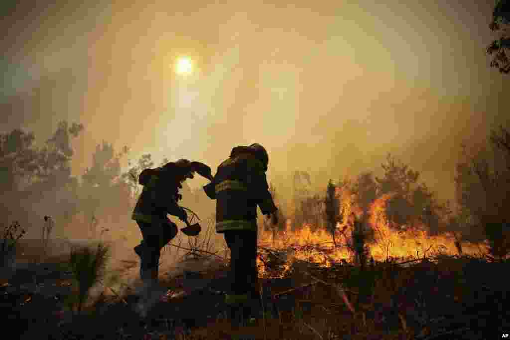تلاش آتش نشان&zwnj;های شیلی برای خاموش کردن بدترین آتش جنگلی&zwnj; در تاریخ این کشور که به مرگ ۱۰ نفر منجر شده است.