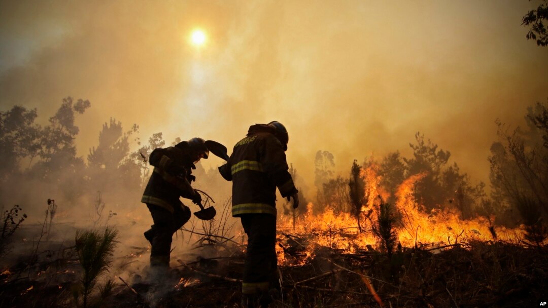 Petugas pemadam kebakaran menggali saluran air dalam upaya menghentikan kebakaran hutan di Concepcion, Chile (25/1).