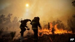 Petugas pemadam kebakaran menggali saluran air dalam upaya menghentikan kebakaran hutan di Concepcion, Chile (25/1).