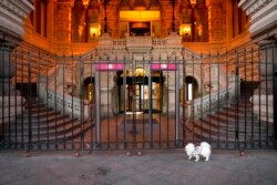 A dog walks past an entrance of the GUM, the State Shop in Red Square, which is closed due to COVID-19, in Red Square in Moscow, Russia, Nov. 1, 2021.