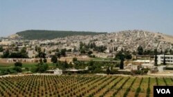 Beşek ji Bajarê Efrîn