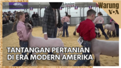 Warung VOA: Tantangan Pertanian di Era Modern Amerika