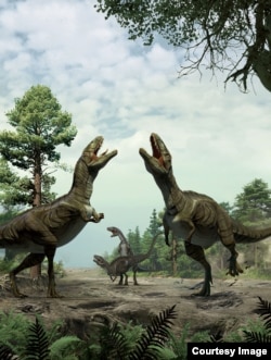 This artwork by Lida Xing and Yujiang Han depicts dinosaurs engaged in sexual display activity. (Credit: University of Colorado-Denver)