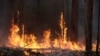 Ilmuwan Australia Ingin Jinakkan Petir untuk Cegah Kebakaran Hutan