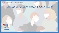 توصیه نهاد آمریکایی برای جلوگیری از شیوع کرونا؛ اگر بیمار هستید از حیوانات خانگی خود نیز دور بمانید