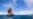 Hawaiian Voyaging Canoe to Navigate World Without Instruments