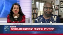 Analysis on African leader’s proposal on the UN Security Council
