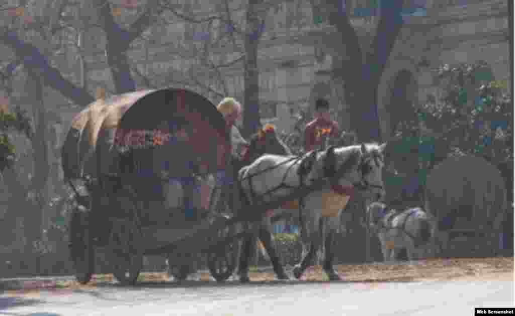 “Əli və Nino” filminin çəkilişləri Bakıda başlayıb