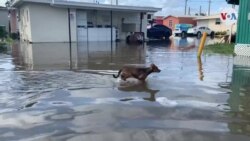 Tormenta Eta: una amenaza aún latente en EE.UU.