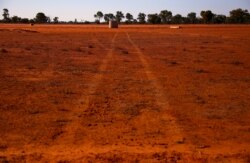 آسٹریلیا میں خشک سالی سے کئی علاقوں ٘میں بڑے پیمانے پر نقصان ہوا ہے۔
