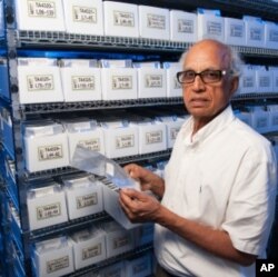 Bikram Gill runs a seed bank at Kansas State University which has supplied disease and insect resistance traits and other useful genes to wheat breeders around the world. This spring, Congress eliminated its funding.