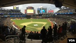 More than 25,000 fans turn out to see cricketing icons at Citi Field in New York, Nov. 7, 2015.