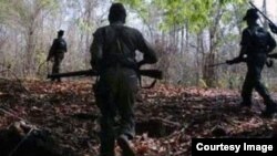 যৌথবাহিনীর সঙ্গে এনকাউন্টারে কম্যান্ডার-সহ তিন মাওবাদী নিহত 