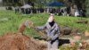 A gravedigger works in the COVID-19 section of the Maitland Cemetery in Cape Town, South Africa, July 15, 2020 as a burial takes place in the background. 
