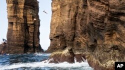 Seorang penyelam terjun dari tebing ketinggian 27 meter, di Sao Miguel, Azores, Portugal, 22 Juni 2019. (Foto: Red Bull Content Pool via AP)