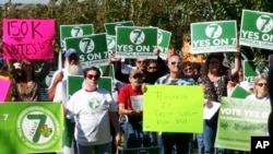 의료용 대마초 합법화에 찬성하는 미국 아칸소주 유권자들이 지난 10월말 리틀록에 있는 주 대법원 앞에서 '주민발의안 7조' 찬성집회를 열고있다.
