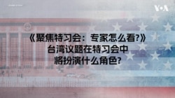 《聚焦特习会：专家怎么看？》 特习会将如何讨论台湾议题？   
